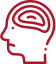 brain icon